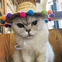 Moda Pet tkane słomkowy kapelusz dla kota kapelusz słońce Sombrero dla małych psów i kotów impreza na plaży słomy kostium akcesoria do działania słodkie 5